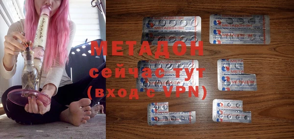 ПСИЛОЦИБИНОВЫЕ ГРИБЫ Дмитриев